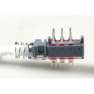 2 pole switch latching or non latching